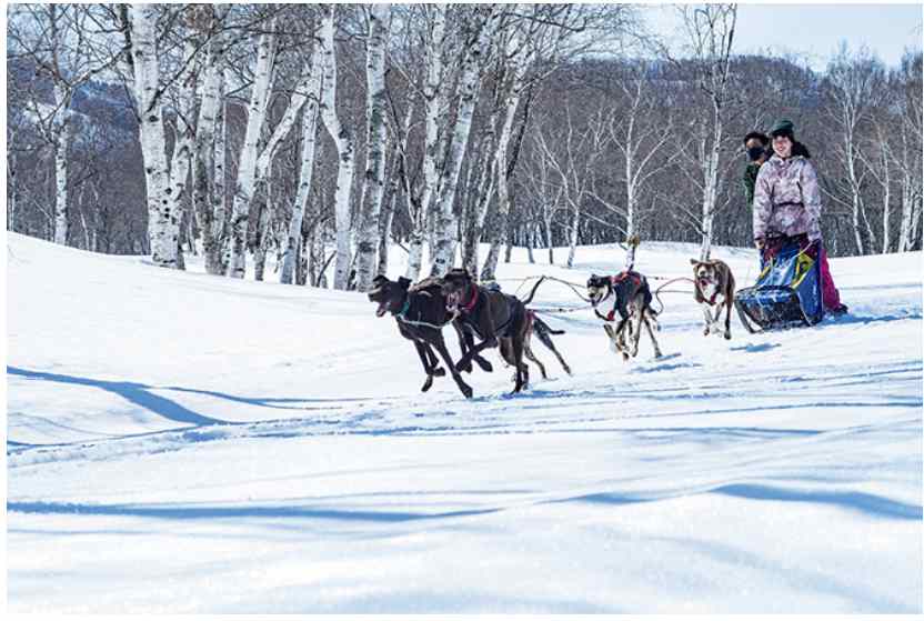 Minakami Kogen Ski Resort